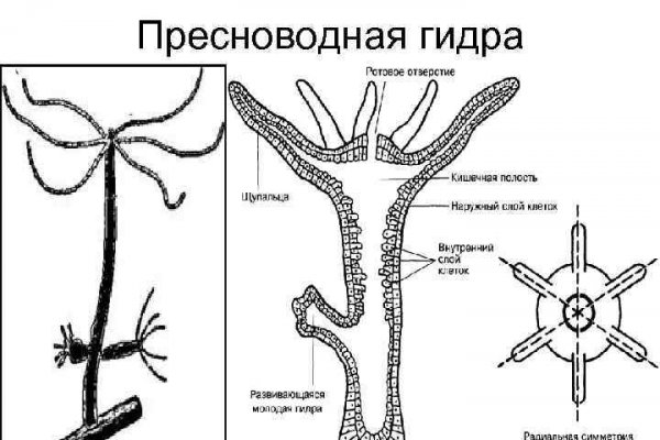 Кракен заказ